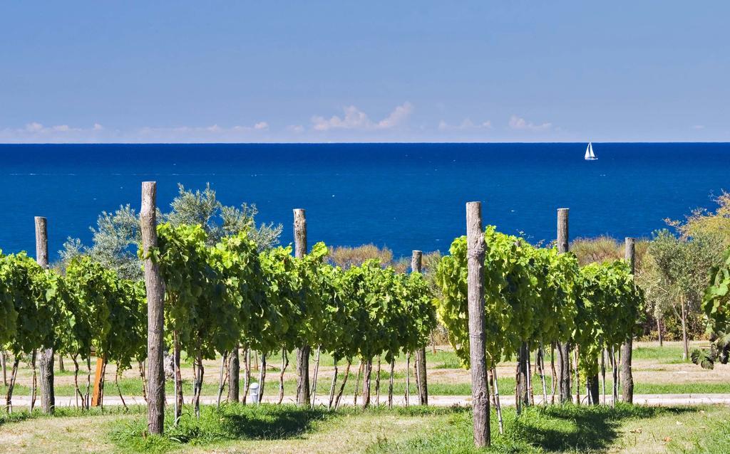 Mobile Homes Premium Vista Mare Park Umag By Camp4You エクステリア 写真